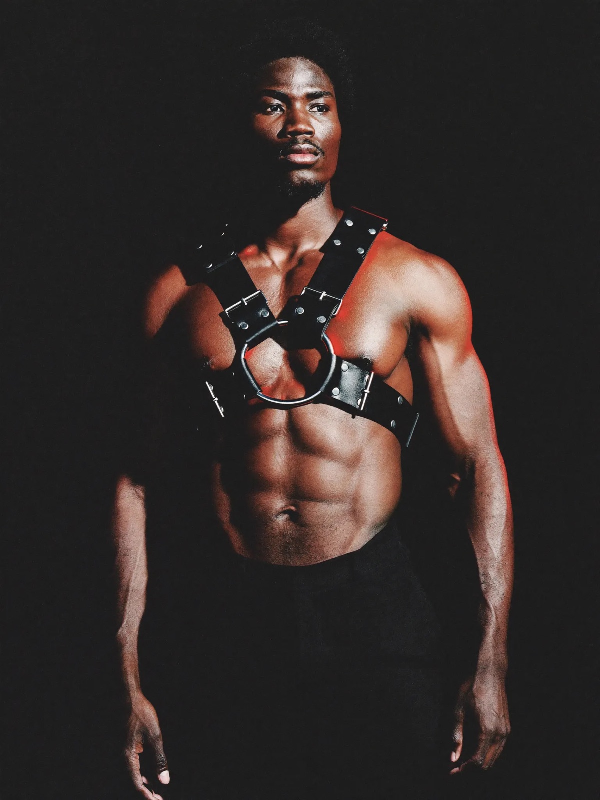 The Spider Harness: wide leather straps radiating from a central steel ring